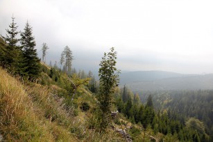 Foto auf Der Schöckl bebte!!!