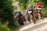 Foto auf Home of XCO