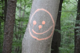 Foto auf Big Pictures BC 2018/18+/17/16/15/14
