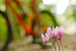 Foto auf Big Pictures BC 2018/18+/17/16/15/14