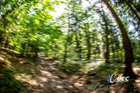 Foto auf Big Pictures BC 2018/18+/17/16/15/14