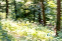 Foto auf Big Pictures BC 2018/18+/17/16/15/14