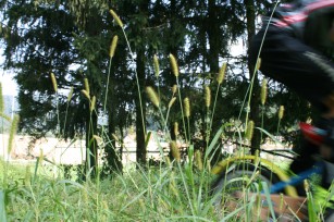 Foto auf Big Pictures BC 2018/18+/17/16/15/14
