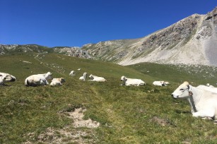 Foto auf Big Pictures BC 2018/18+/17/16/15/14