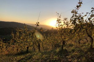 Foto auf Big Pictures BC 2018/18+/17/16/15/14