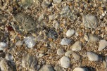 Foto auf Big Pictures BC 2018/18+/17/16/15/14