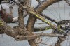 Foto auf DoKiBiT - DONNERSTAGS KIDS BIKE TRAINING