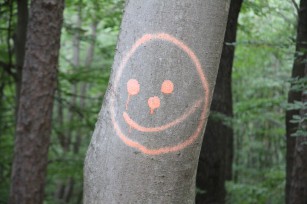 Foto auf BC Stattegg - inofizieller Bildbericht 2018
