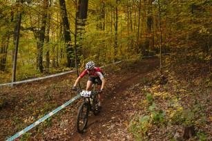 Foto auf xco