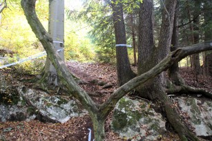 Foto auf Endupics