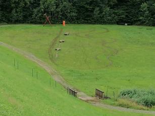 Foto auf KIDS BIKE-CAMPS