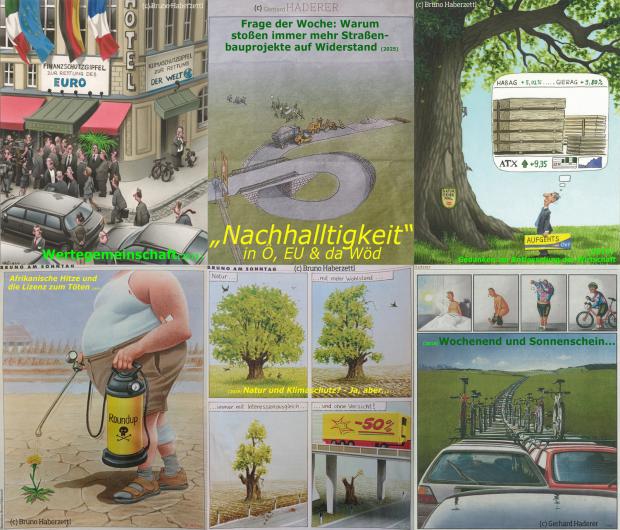 <span style="font-size:18px"><span style="font-family:Verdana,Geneva,sans-serif">B13 (c) Illustrated by Bruno Haberzettl and Gerhard Haderer</span></span>